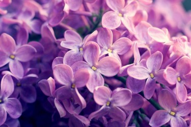 长沙芙蓉区1赎楼担保服务提升房产交易效率